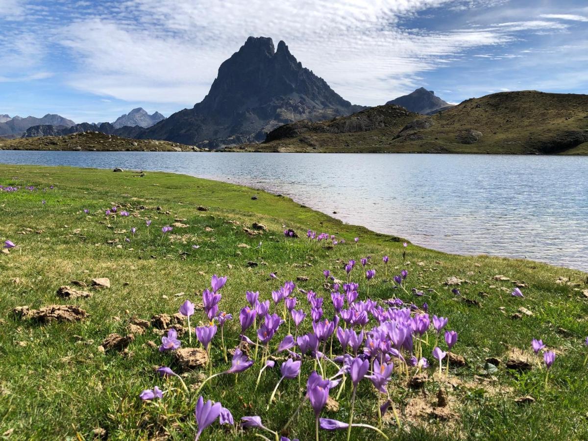 Green Bike Pyrenees Louvie Juzon ภายนอก รูปภาพ